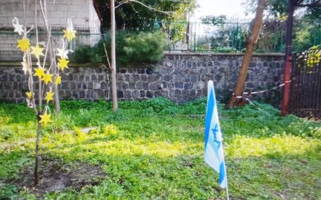 Somma Vesuviana, Giornata della Memoria: bambini collegati in diretta online anche da casa. Al Primo Circolo Didattico la Bandiera d'Israele 4 bandiera israele