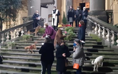 Napoli, la benedizione degli animali a Santa Maria Egiziaca a Pizzofalcone nella notte di Sant'Antonio 6 benedizione1