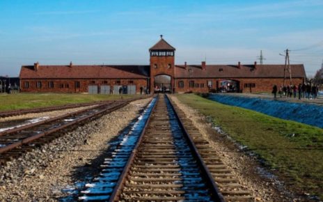 Ricerca, SHOAH: giovani nativi digitali ne ignorano l'esistenza 6 campo di concentrament 7270804 2132737 20210126191939