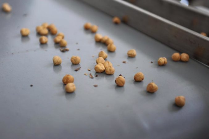 la trasformazione delle nocciole
