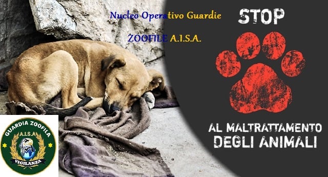 2. AISA Nucleo Operativo Guardie Zoofile