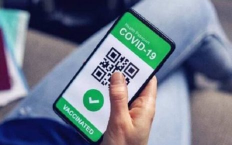 Covid, Amante e Pace (Dema): "Il Green Pass ha coperto il fallimento della Sanità pubblica" 4 greenpass reference