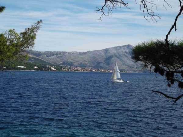 Se lo sogni puoi andarci, la Croazia ti aspetta! 4 il limpido mare di Korcula