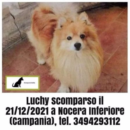laky2