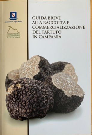 Guida al tartufo