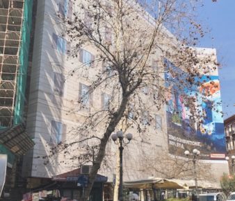 Napoli, al Vomero ferme le operazioni di potatura dopo i recenti interventi in via Scarlatti e in via Luca Giordano 5 Vomero piazza Vanvitelli platano non potato