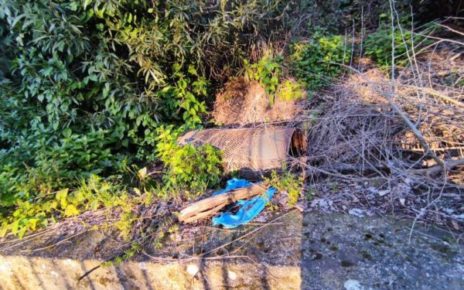 San Giovanni a Teduccio, Parco Troise: un “laghetto”senza acqua ma con tanta sporcizia ed incuria 6 sangiovanni1