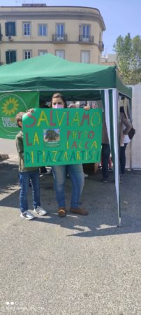Napoli, Europa Verde e Lipu in piazza degli Artisti per salvare l’albero ultracentenario 4 foto 38