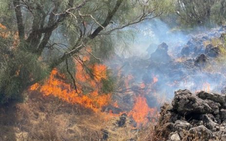 Somma Vesuviana, incendio Monte Somma. Di Sarno: "Domato l’incendio sviluppatosi sul versante Cupra Maresca del Monte nel Parco Nazionale del Vesuvio" 5 Incendio etna