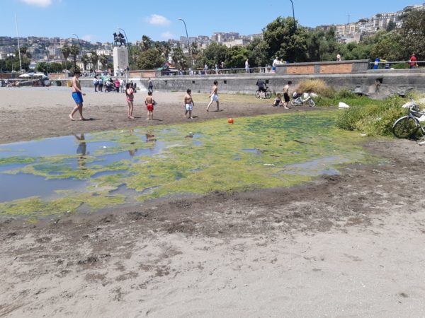 rotonda diaz3
