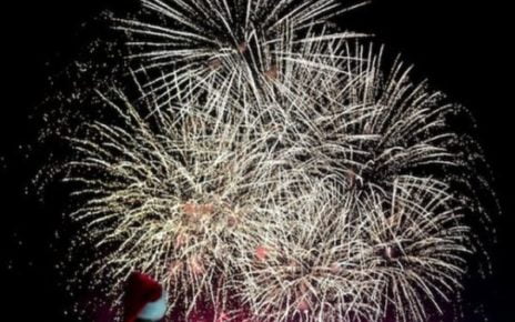 Napoli, fuochi artificiali. Capodanno (Valori Collinari): "Diciamo basta a questa barbarie!" 5 Napoli fuochi dartificio