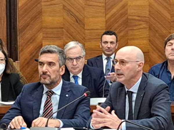 Fiorin e Ulgiati