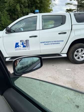 IMG 20221110 WA0111