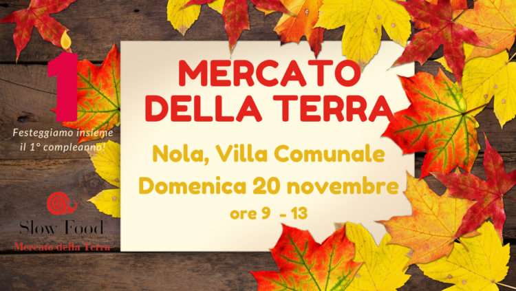 MERCATO DELLA TERRA 6
