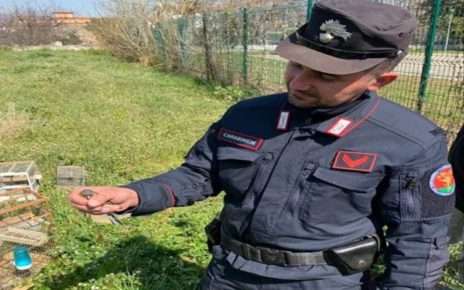 Acerra e Caivano, controlli antibracconaggio: due denunciati 4 ScreenShot003 3