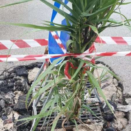 Castel Volturno, canne di bambù che fungono da segnaletica strada, succede in via Veneto. Cesare Diana: "Quest'amministrazione spinge ad arrangiarsi" 4 Via Veneto 5