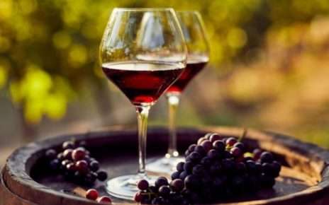 Termini Imerese, Corso di analisi sensoriale: quarta lezione dedicata al vino 5 Vino Rosso