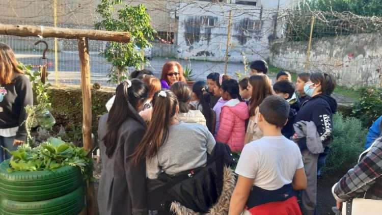 Palma Campania, una mattinata all’Orto Sociale: gli alunni della “A. De Curtis” a lezione di agricoltura 9 315955431 1529198857586120 8694425223485602492 n