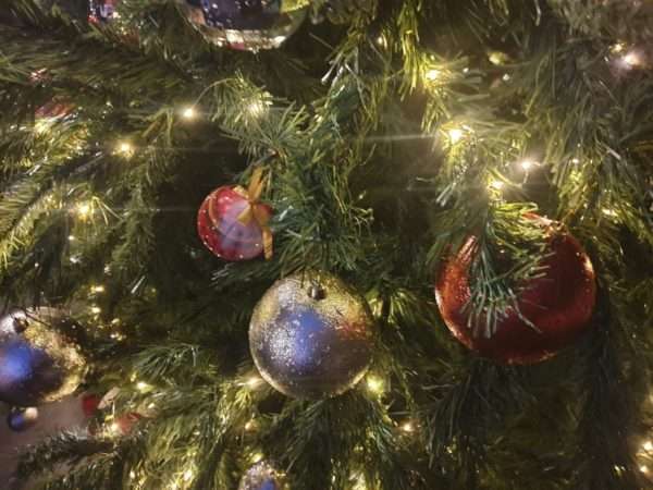 Scisciano, la luce del Natale: alla Scuola Babylandia va in scena il Presepe Vivente dei bambini 27 319722051 695899195363836 1838221306345896111 n