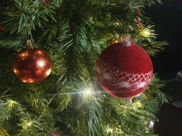 Scisciano, la luce del Natale: alla Scuola Babylandia va in scena il Presepe Vivente dei bambini 26 319725921 1496455060852827 6248875931817865785 n
