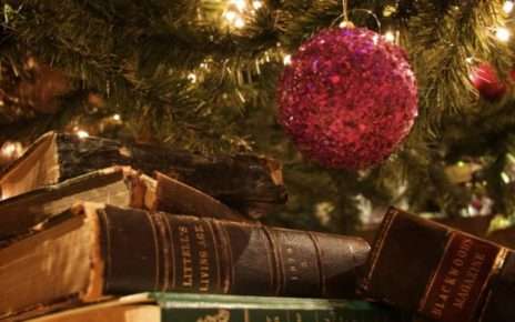 Palma Campania, al via la Rassegna Culturale “Un Libro sotto l’Albero” VIII Edizione 2 libri per natale 2011