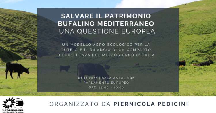 save the date