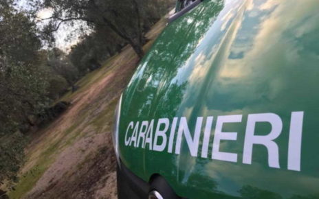 carabinieri forestali