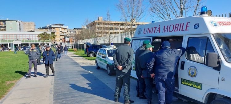 Pomigliano d’Arco, attività zoofila di AISA e LIPU 3 3. Controllo Zoofilo AISA e LIPU Pomigliano dArco 29.1.2023