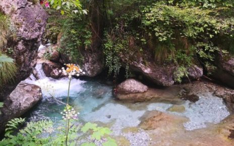 Lombardia, senza acqua le sorgenti del torrente Vertova 3 52716367.700x525