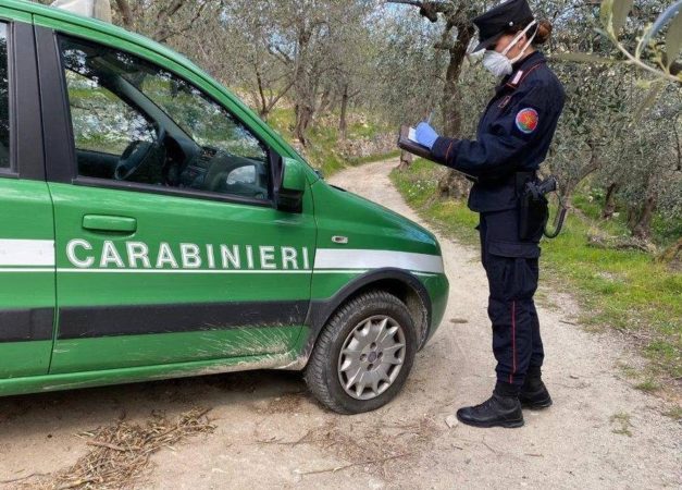 carabinieri forestali