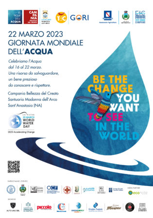 Manifesto 70x100 Water World Day Sponsor