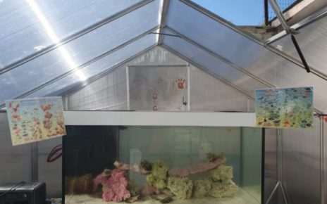 Cercola, all’I.C “De Luca Picione – Caravita” inaugurati ambienti didattici con vasche tattili e impianti di colture idroponiche e aeroponiche 6 341639002 910016020327904 1706850822334204998 n