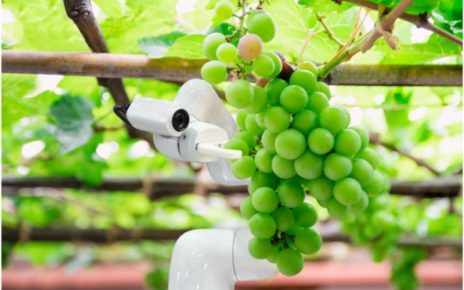 Salerno, Agricoltura di precisione: al via il Corso Avanzato promosso dall’Osservatorio dell’Appennino meridionale in sinergia con la Regione Campania e l’ORAdP 4 Agr Prec 1 2