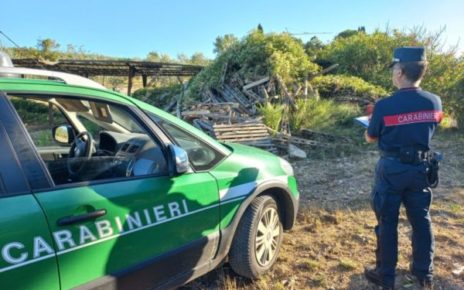 Palma Campania, smaltivano rifiuti speciali bruciandoli: denunciate due persone 4 Carabinieri forestali Campoli e1661157170524