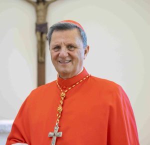 Aversa, Convegno Diocesano: in Cattedrale con il Card. Mario Grech 6 Cardinal Mario Grech