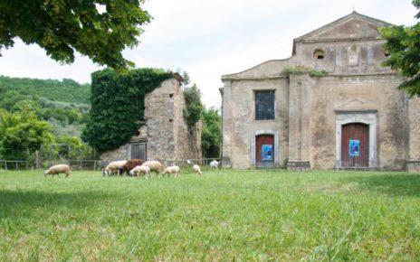 Cilento, Fondazione Vassallo: “Grande successo per il primo evento Nazionale della Dieta Mediterranea a Roscigno Vecchia” 3 Dario Vassallo Roscigno 4