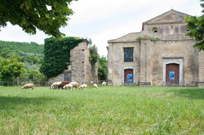 Dario Vassallo Roscigno 4