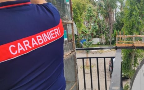Giugliano, sorpreso a catturare cardellini: denunciato 40enne 5 cardellinirubati