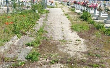 Marigliano, degrado e abbandono al cimitero 5 cimiterodegrado
