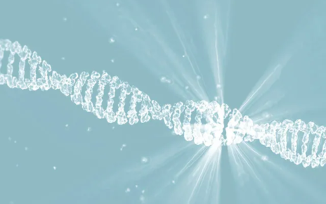 Alfa mannosidosi, c’è una cura ma manca lo screening neonatale: in Campania tre casi diagnosticati ma sono molti di più 4 dna full 20180406 2