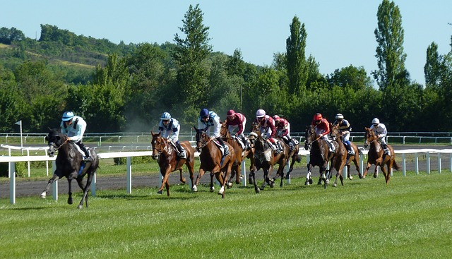 horse race g0528cf8a4 640