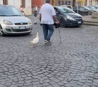papera