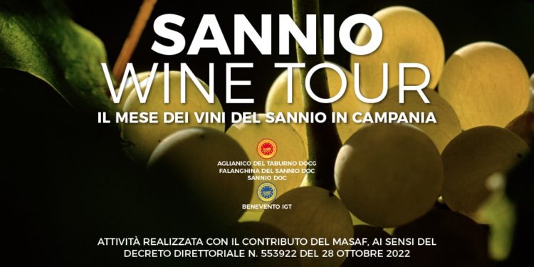 sannio wine tour