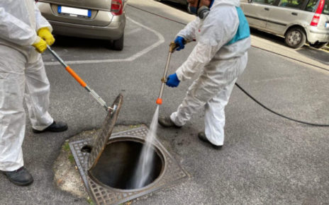 cosa e la deblattizzazione 1 800x600 1