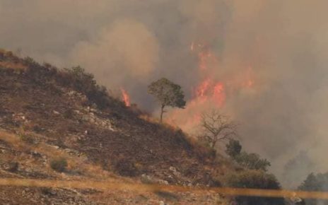 Somma Vesuviana, prevenzione incendi in aree boschive: ordinanza del sindaco Di Sarno 4 incendio boschivo 1