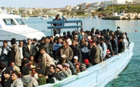 Immigrati, boom di sbarchi. Imprenditore romagnolo: "Sono pronto a formarli" 5 lampedusa