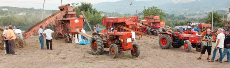 Roccadaspide, Festa della Civiltà Contadina e della Trebbiatura: cinque giorni di tradizioni, musica e buon cibo 5 Carretiello In Evoluzione