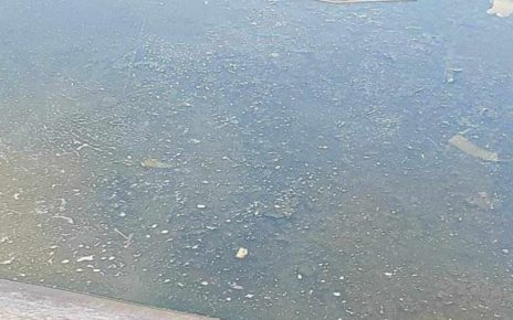 Mariglianella, Agrimonda: la bomba ecologica invasa da zanzare e insetti. E' allarme igienico-sanitario 5 arimonda1 1