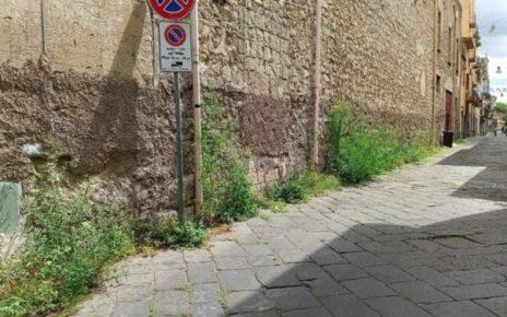 Marigliano, muri e strade invasi dalle erbacce in tutto il centro città 6 sadaerbacce3