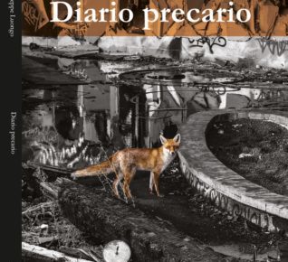 “Diario precario”. Nella poesia il mosaico delle vite vissute 11 Copertina Diario precario